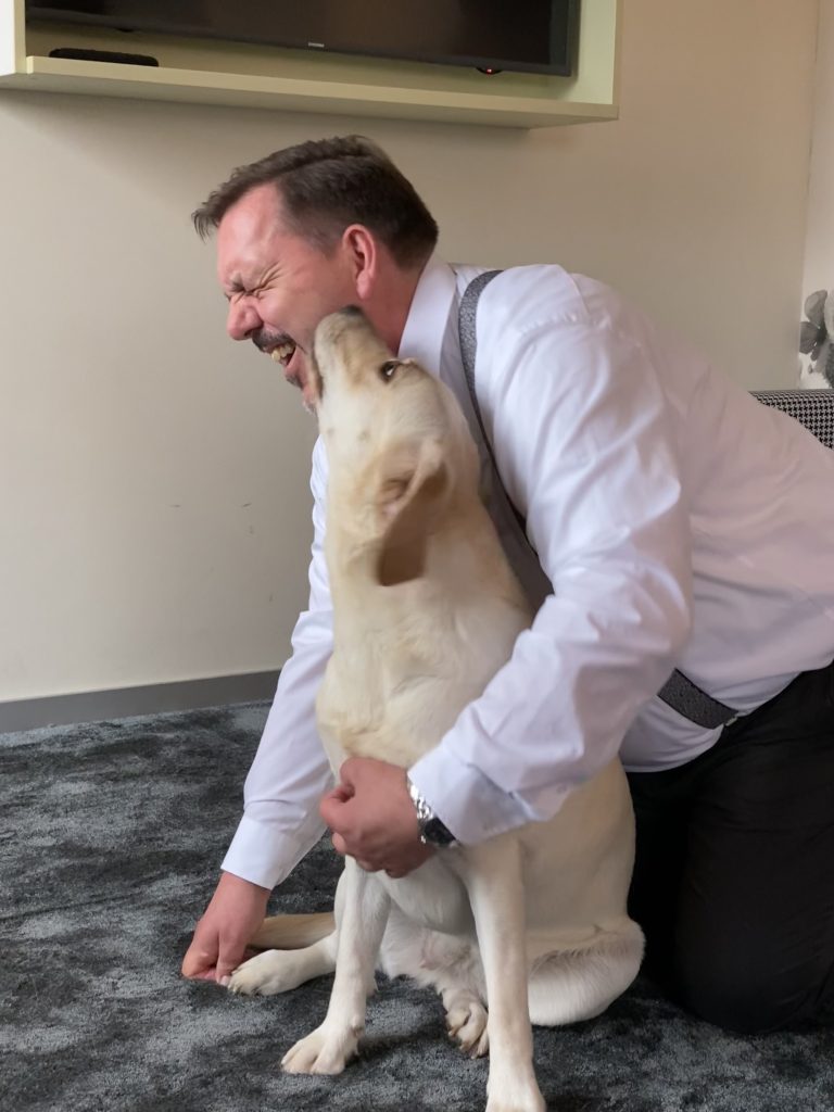 Hund verlässt den Raum