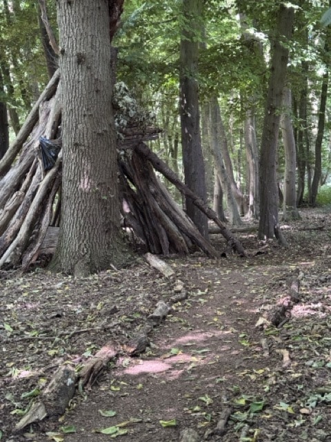 Die Hütte im Wald. Ein Haus aus der Fantasiewelt der Kinder. Gebaut mit Kinderhand. Mit einem Weg zum Eingang. Liebevoll und mit viel Sinn für Details.