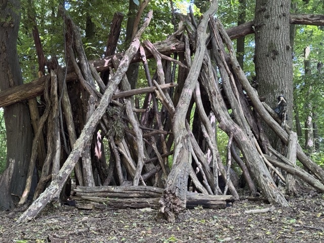 Die Hütte von der gesicherten Seite zum eigentlichen Weg durch den Wald. Der Wanderer kann die "Bewohner" nicht sehen. Doch die Kinder können wunderbar beobachten welcher Wanderer sich dort bewegt.