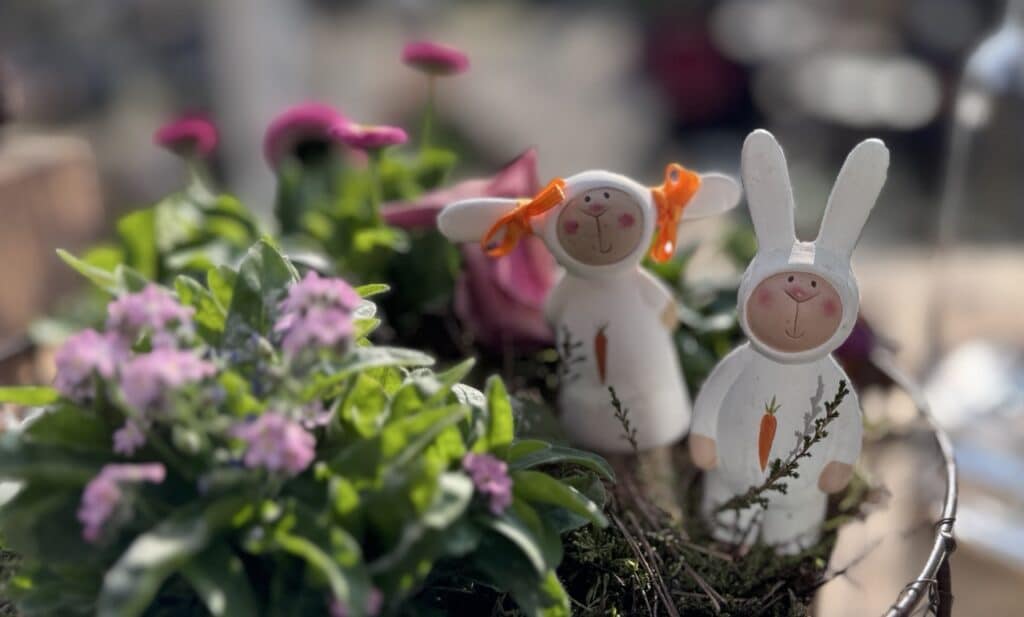 Frühling und Beziehung. Sinnbildlich anhand dieses "Osthasen-Paares" zwischen den Frühlingsblumen möchte ich in meinem Artikel d